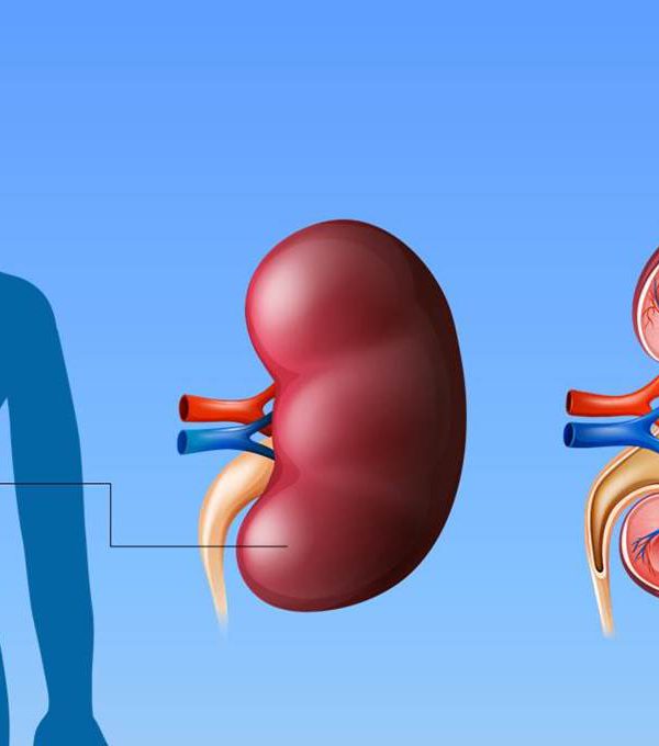 打造「腎」利人生 認識慢性腎臟病