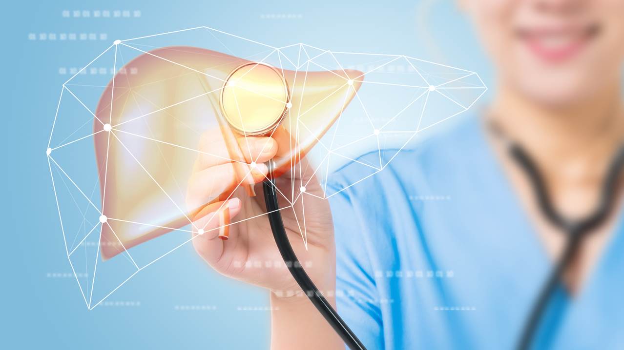 這樣看「肝」好不好| 西園醫療社團法人西園醫院