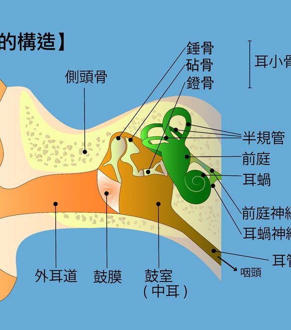 冬季常見耳科疾患